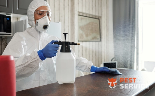 Дезинфекция в Озерске