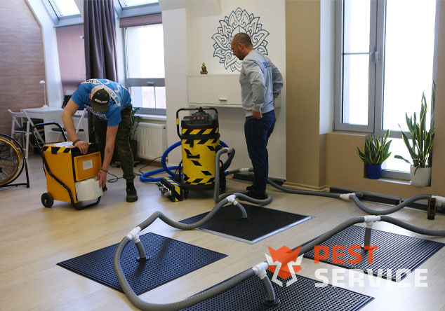 Профессиональная сушка после потопа в Озерске от 3000 руб. Быстро устраняем влагу, предотвращаем плесень и повреждения. Современное оборудование и опытные специалисты. Безопасно и эффективно.